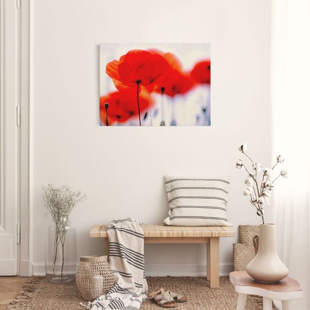 Leinwandbilder Wohnzimmer modern Magic Poppies