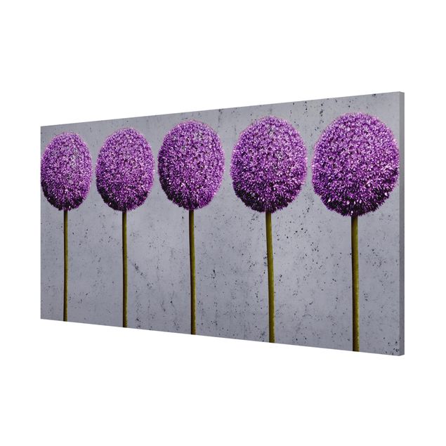 Bilder für die Wand Allium Kugel-Blüten
