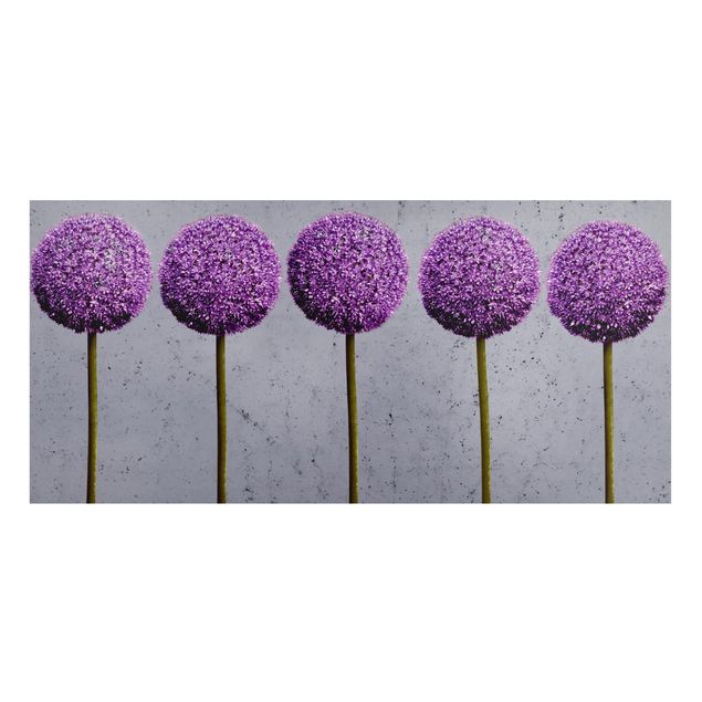 Magnettafel Blumen Allium Kugel-Blüten