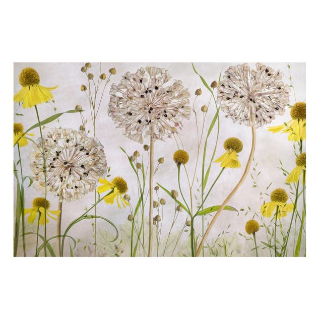 Magnettafel Blumen Allium und Helenium Illustration