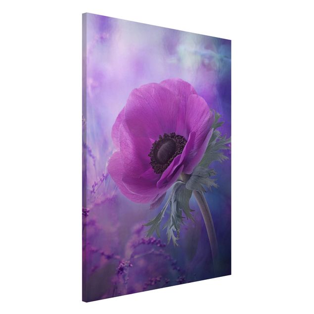 Magnettafel Büro Anemonenblüte in Violett