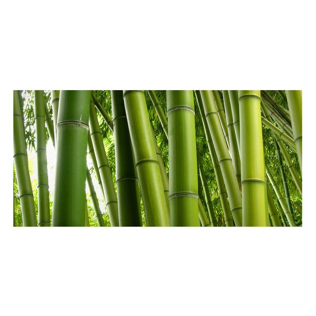 Wandbilder Bamboo Trees