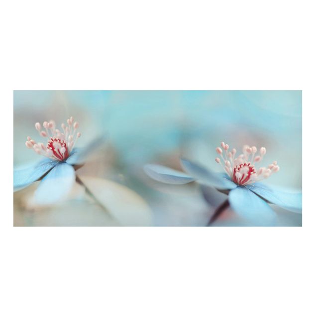 Magnettafel Blumen Blüten in Hellblau