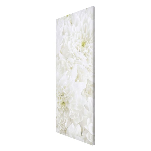 Schöne Wandbilder Dahlien Blumenmeer weiß