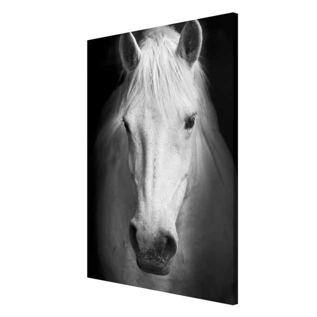 Magnettafel Tiere Dream of a Horse