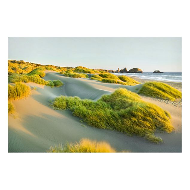 Magnettafel Strand Dünen und Gräser am Meer