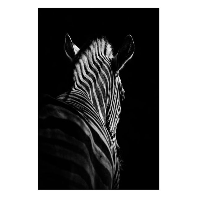 Magnettafel Büro Dunkle Zebra Silhouette