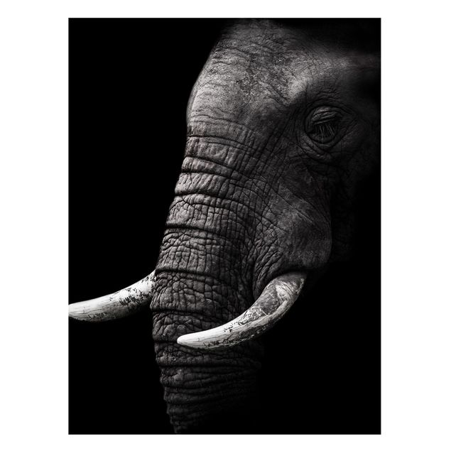 Magnettafel Büro Dunkles Elefanten Portrait