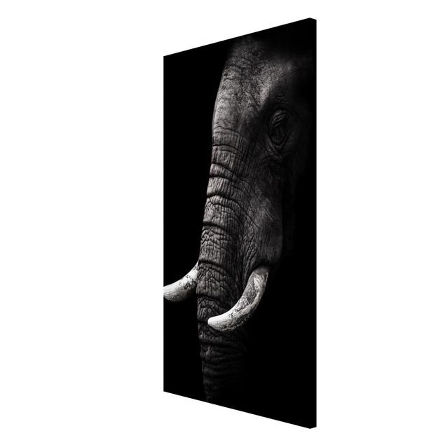 Magnettafel Tiere Dunkles Elefanten Portrait