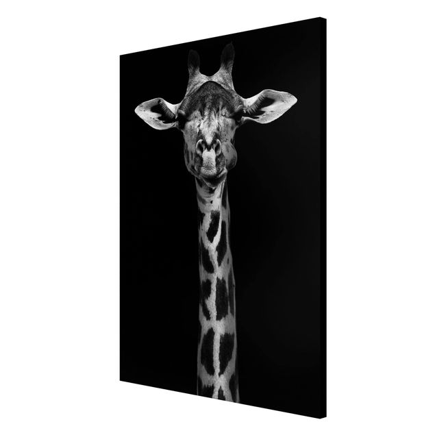 Magnettafel Tiere Dunkles Giraffen Portrait