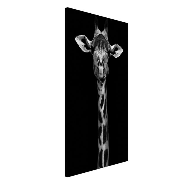 Wandbilder Tiere Dunkles Giraffen Portrait