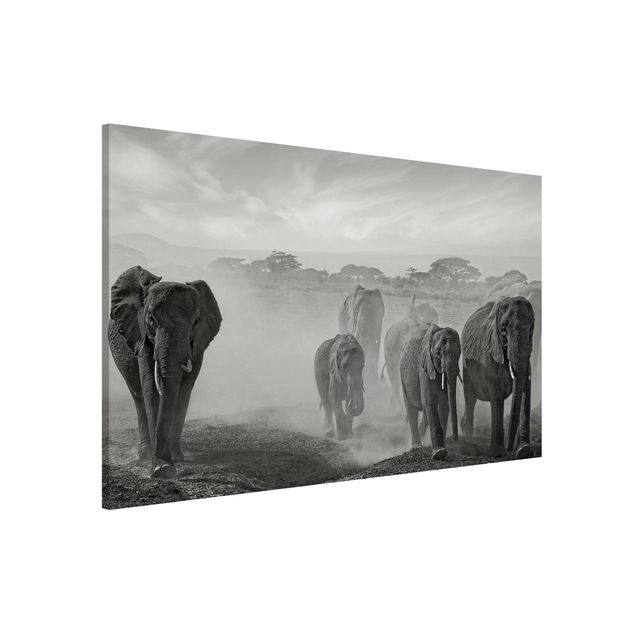 Wandbilder Tiere Elefantenherde
