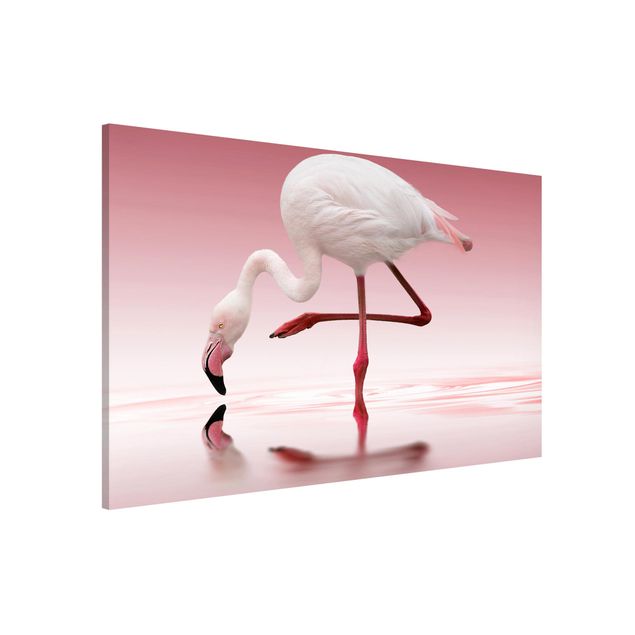 Wandbilder Tiere Flamingo Dance