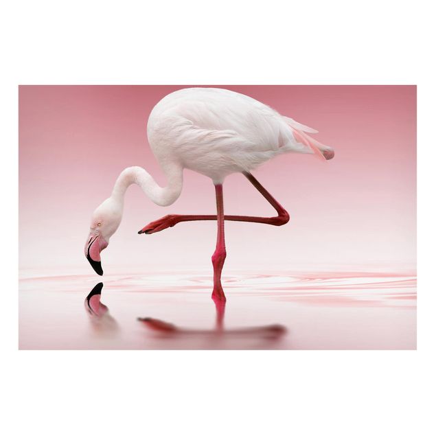 Magnettafel Büro Flamingo Dance