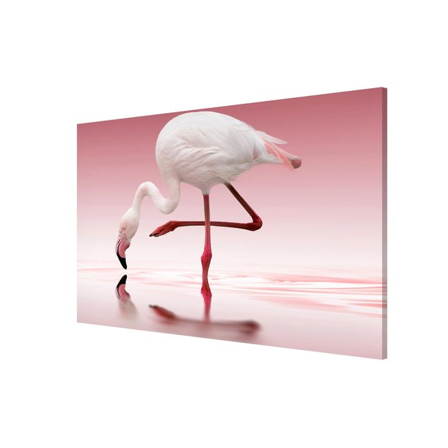 Magnettafel Tiere Flamingo Dance