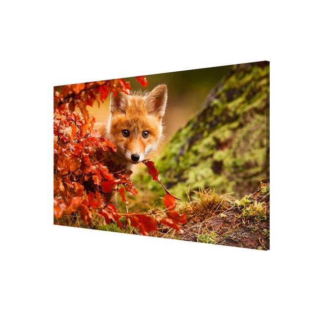 Magnettafel Tiere Fuchs im Herbst
