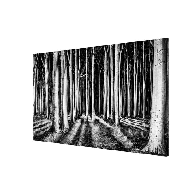 Bilder für die Wand Geisterwald