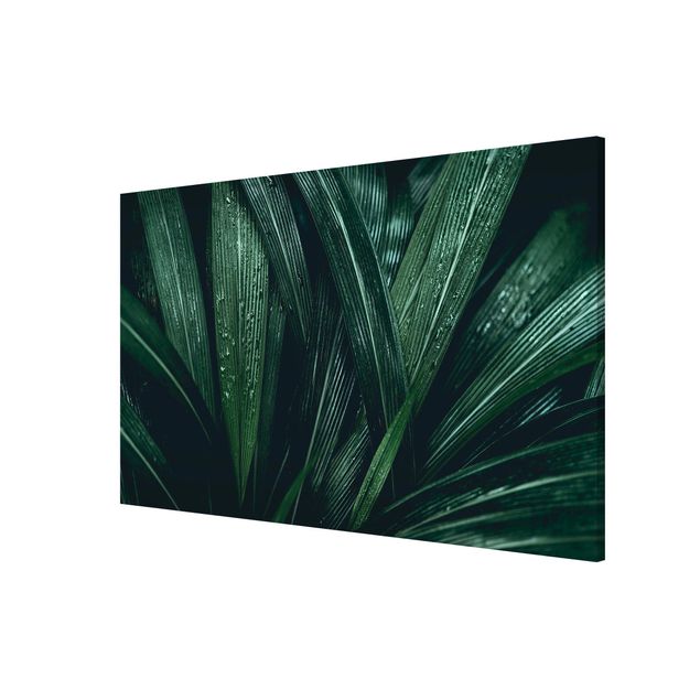 Schöne Wandbilder Grüne Palmenblätter