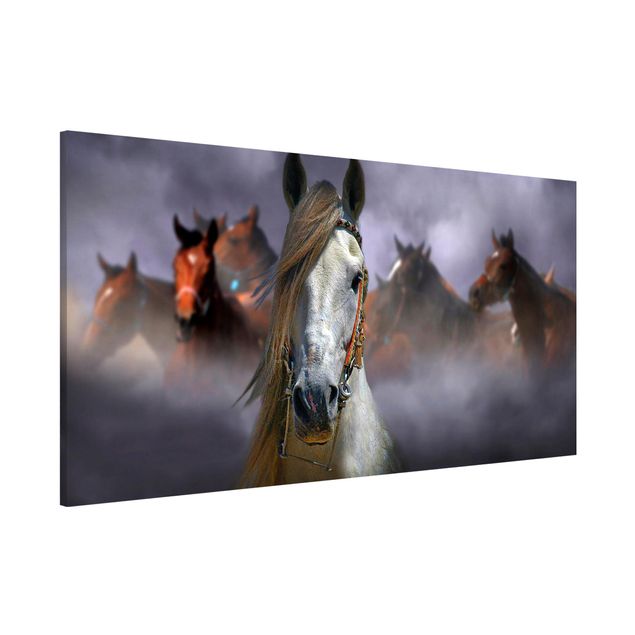 Wandbilder Tiere Horses in the Dust