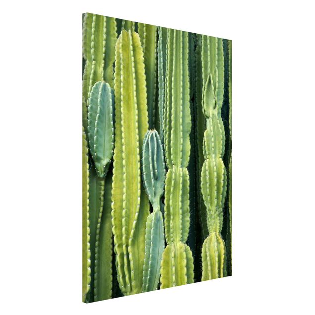 Magnettafel Büro Kaktus Wand