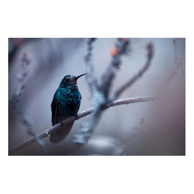 Magnettafel Büro Kolibri im Winter