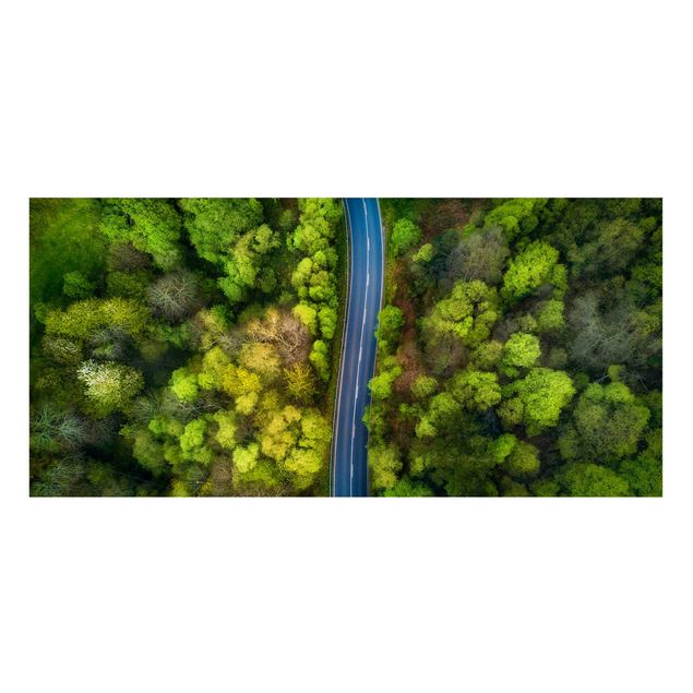 Wandbilder Luftbild - Asphaltstraße im Wald