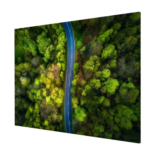 Magnettafel mit Motiv Luftbild - Asphaltstraße im Wald