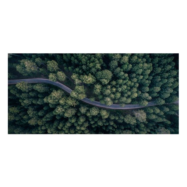 Wandbilder Luftbild - Waldstraße von Oben