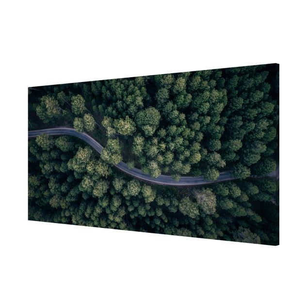 Magnettafel mit Motiv Luftbild - Waldstraße von Oben