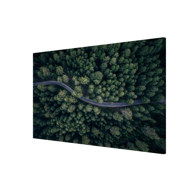 Magnettafel mit Motiv Luftbild - Waldstraße von Oben