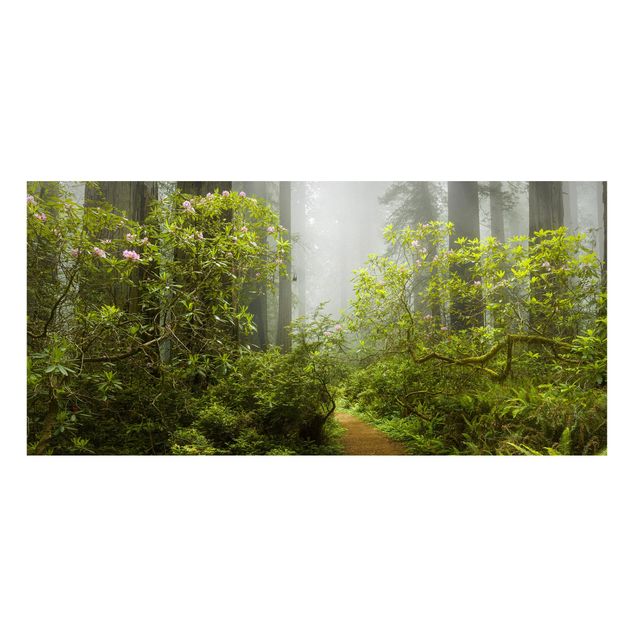 Bilder für die Wand Nebliger Waldpfad