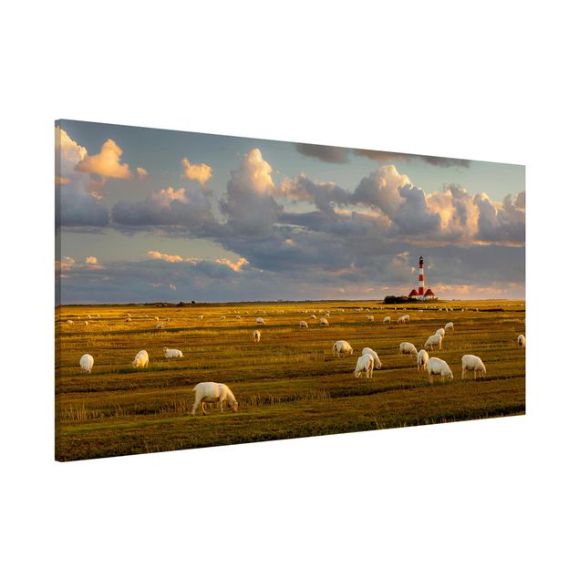 Wandbilder Tiere Nordsee Leuchtturm mit Schafsherde