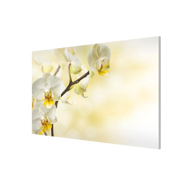 Bilder für die Wand Orchideen Zweig