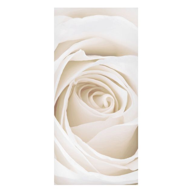 Magnettafel Blumen Pretty White Rose