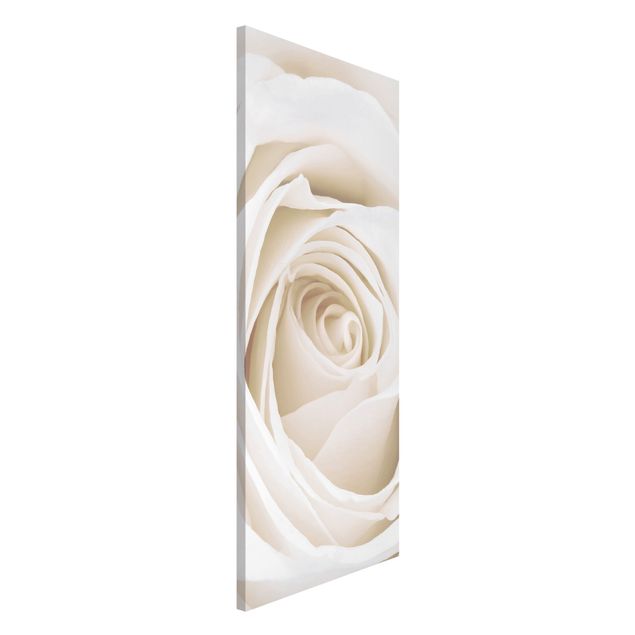 Magnettafel Büro Pretty White Rose