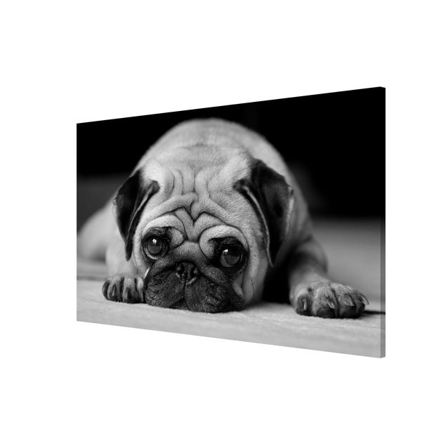 Magnettafel Tiere Pug Loves You II