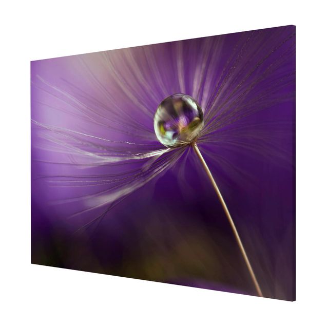 Bilder für die Wand Pusteblume in Violett