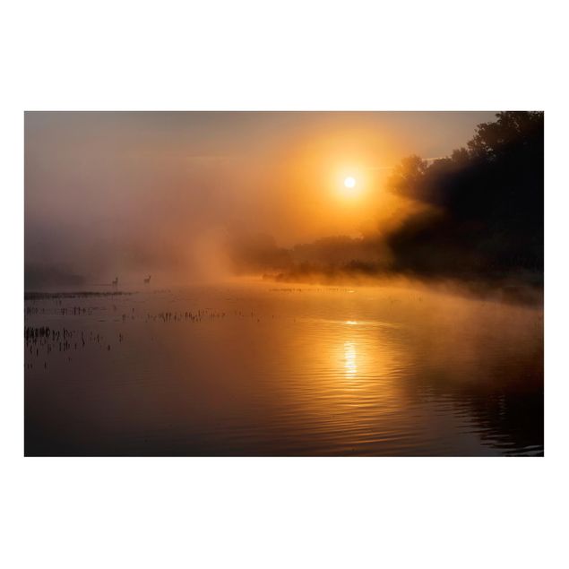 Magnettafel Büro Sonnenaufgang am See mit Rehen im Nebel