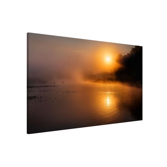 Wandbilder Tiere Sonnenaufgang am See mit Rehen im Nebel