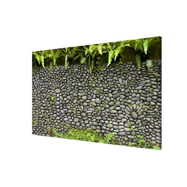 Wandbilder Steinwand mit Pflanzen
