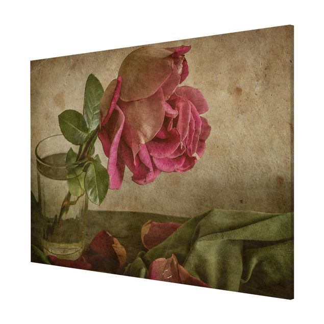 Schöne Wandbilder Tear of a Rose