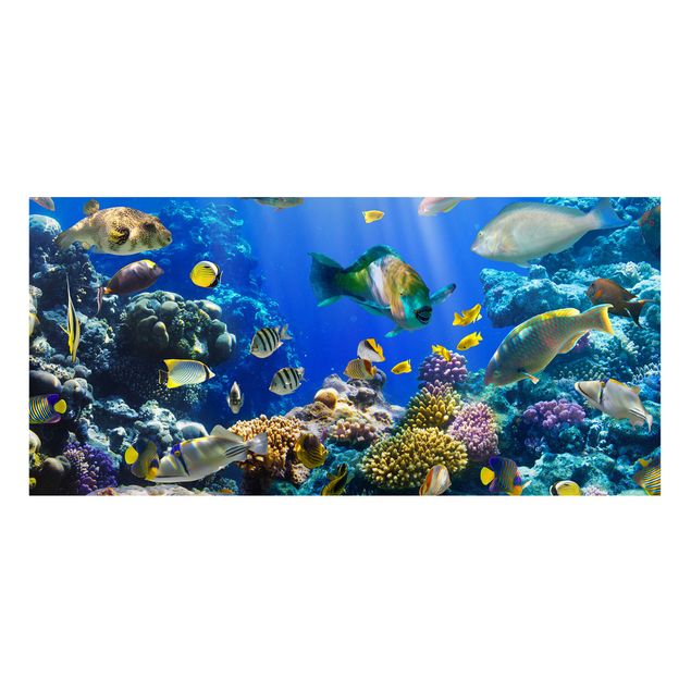 Magnettafel Büro Underwater Reef