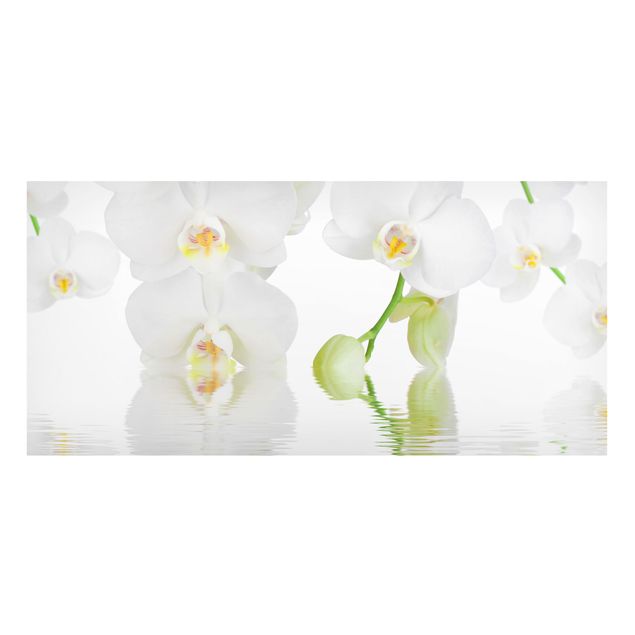 Magnettafel Blumen Orchideen Wellness Orchidee