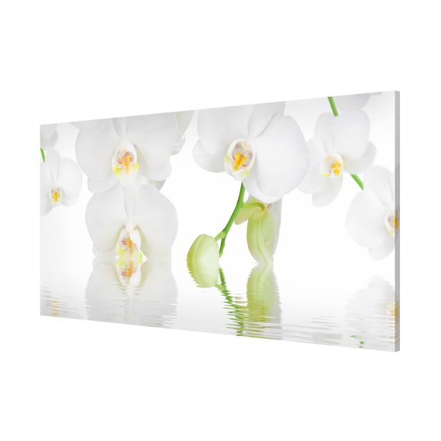 Schöne Wandbilder Orchideen Wellness Orchidee