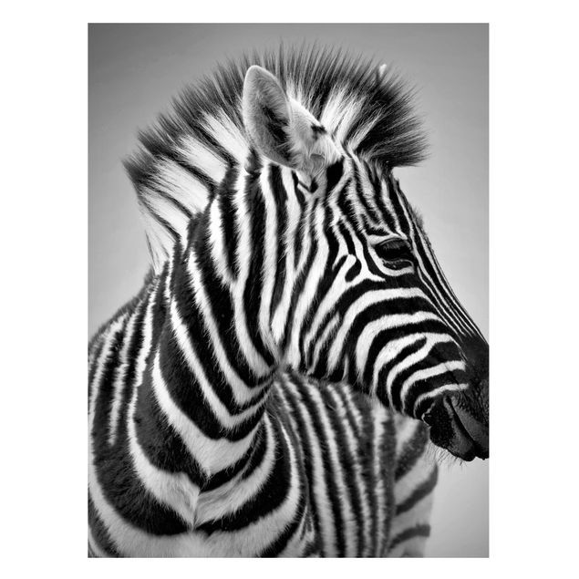 Magnettafel Büro Zebra Baby Portrait II