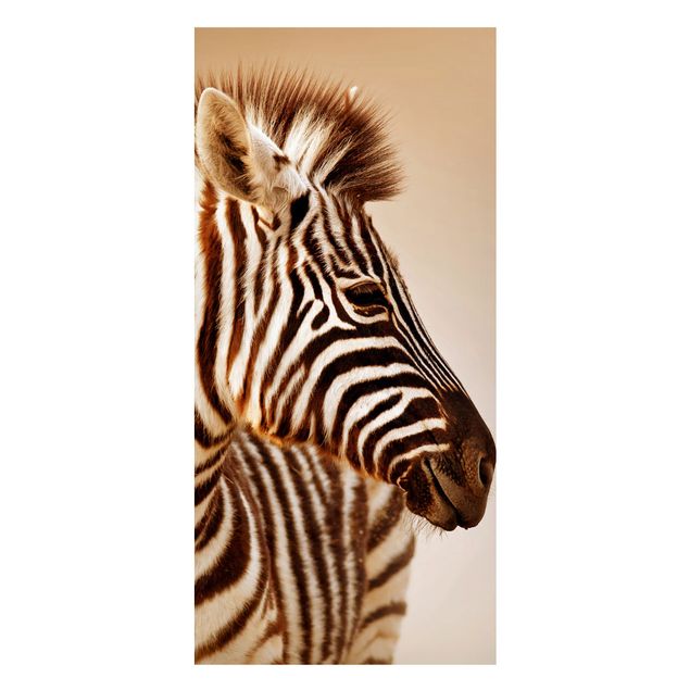 Magnettafel Büro Zebra Baby Portrait