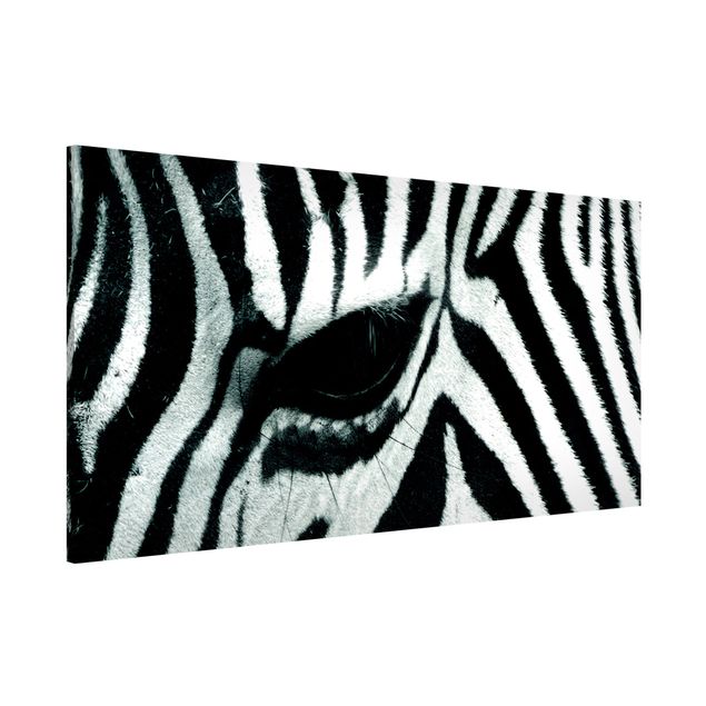 Wandbilder Tiere Zebra Crossing