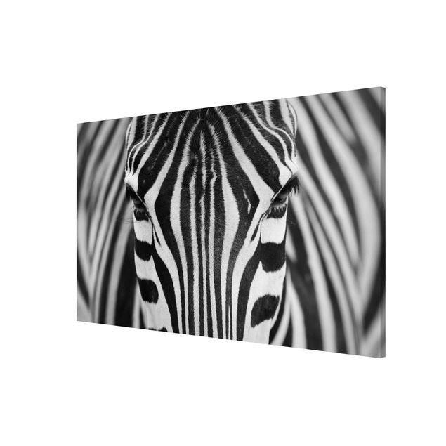 Magnettafel Tiere Zebra Look
