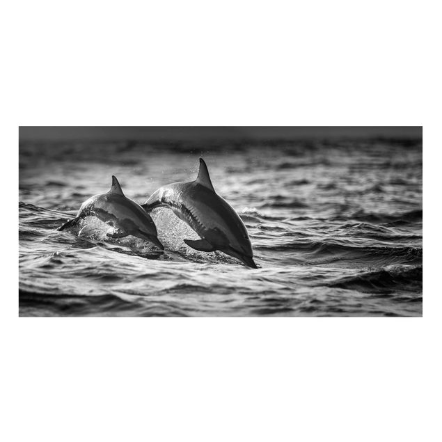 Magnettafel Büro Zwei springende Delfine