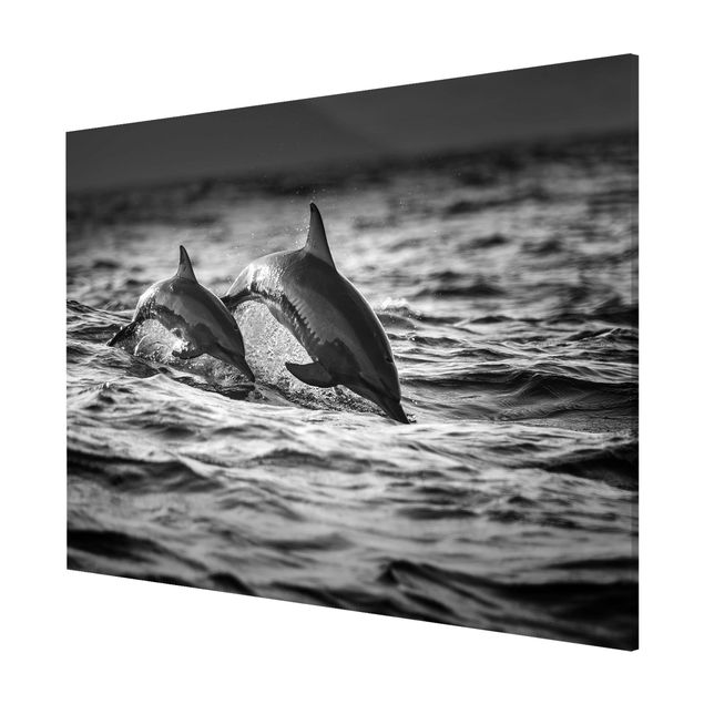 Magnettafel Tiere Zwei springende Delfine